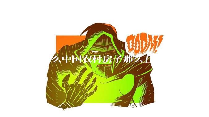 为什么中国农村房子那么丑?