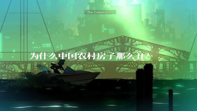 为什么中国农村房子那么丑?