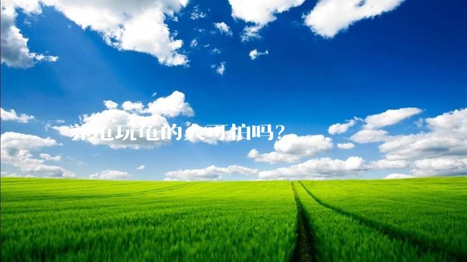 养龟玩龟的人可怕吗?