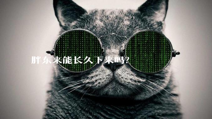 胖东来能长久下来吗?