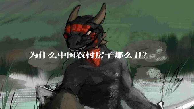 为什么中国农村房子那么丑?