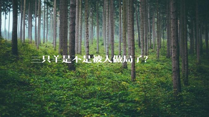 三只羊是不是被人做局了?