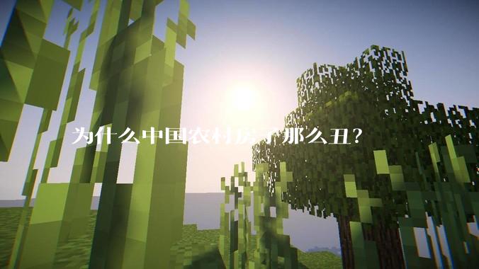 为什么中国农村房子那么丑?