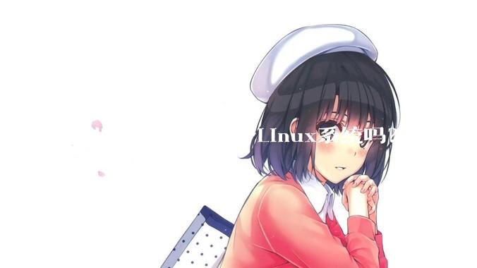可以随身携带一个Linux系统吗?