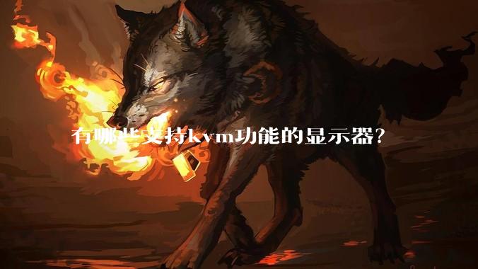 有哪些支持kvm功能的显示器?