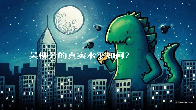 吴柳芳的真实水平如何?