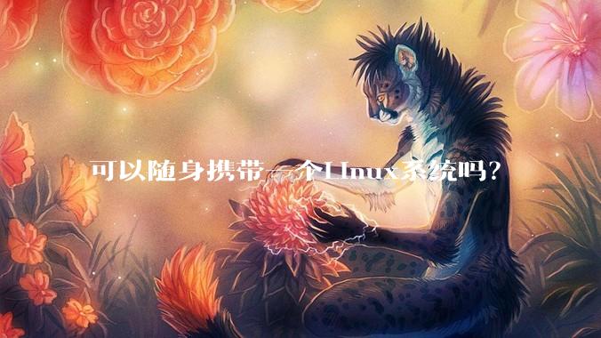 可以随身携带一个Linux系统吗?