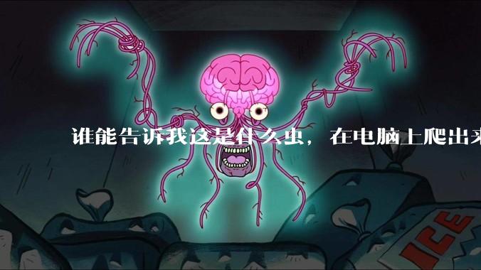 谁能告诉我这是什么虫,在电脑上爬出来吓死我了 ?