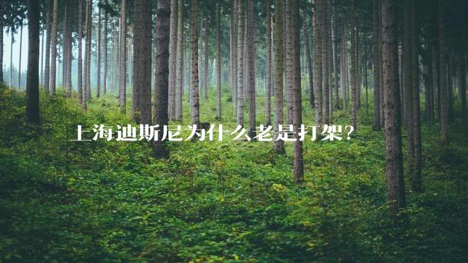 上海迪斯尼为什么老是打架?