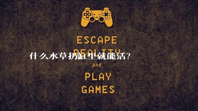 什么水草扔缸里就能活?