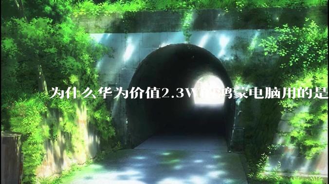 为什么华为价值2.3W的鸿蒙电脑用的是美国西数的中低固态硬盘??