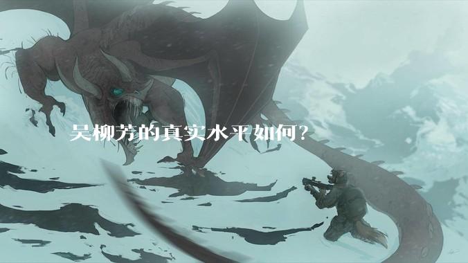 吴柳芳的真实水平如何?