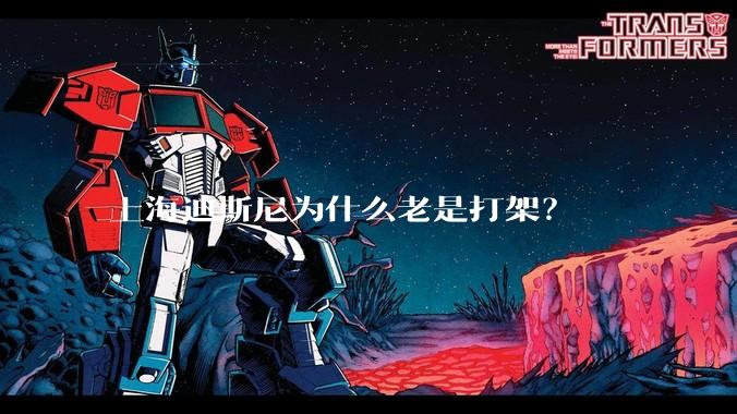 上海迪斯尼为什么老是打架?