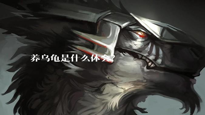 养乌龟是什么体会?