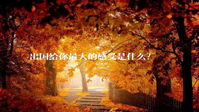 出国给你最大的感受是什么?