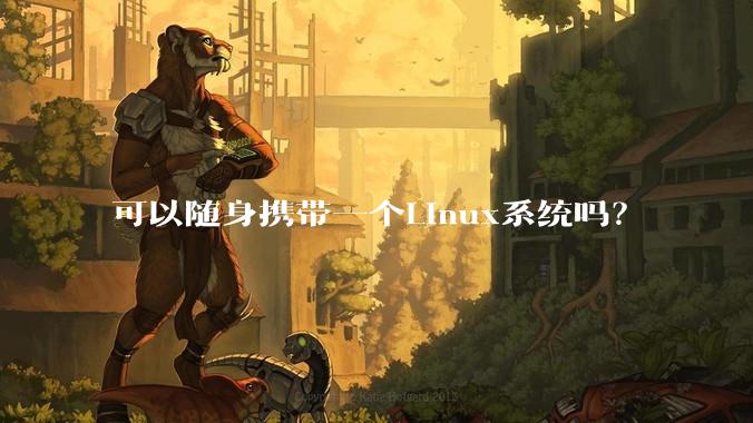 可以随身携带一个Linux系统吗?