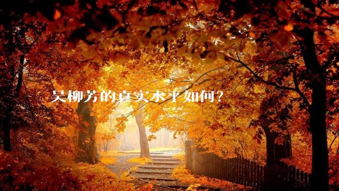 吴柳芳的真实水平如何?