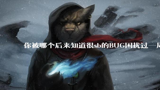 你被哪个后来知道很sb的BUG困扰过一周以上吗?