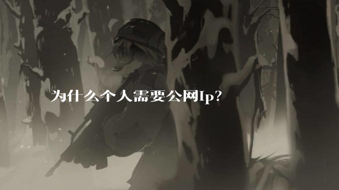 为什么个人需要公网ip?
