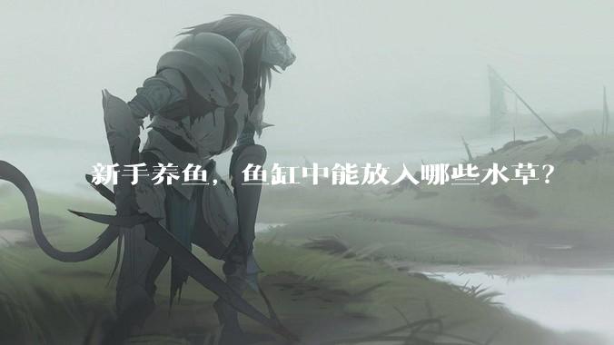 新手养鱼,鱼缸中能放入哪些水草?