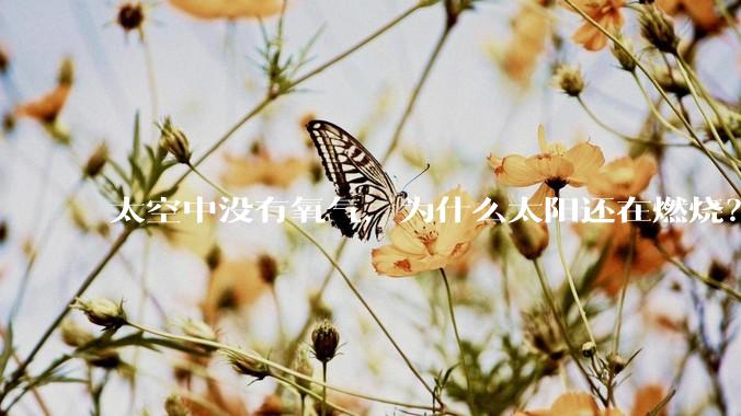 太空中没有氧气,为什么太阳还在燃烧?