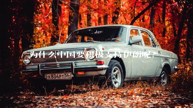 为什么中国要积极支持伊朗呢?