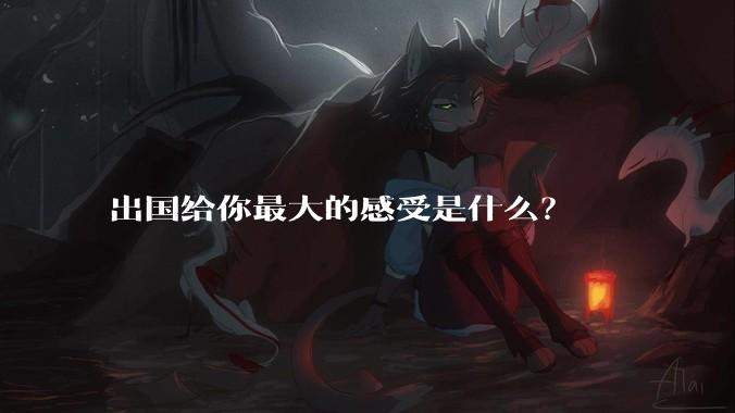 出国给你最大的感受是什么?