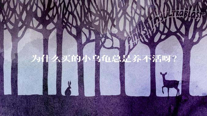 为什么买的小乌龟总是养不活呀?