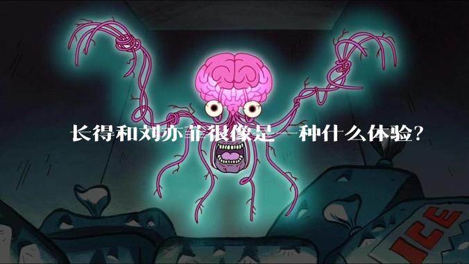 长得和刘亦菲很像是一种什么体验?