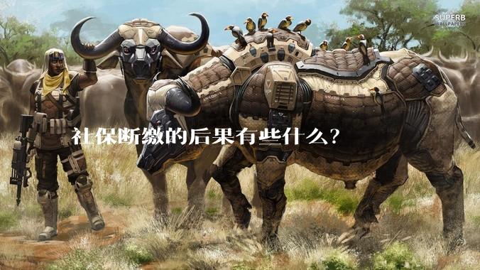 社保断缴的后果有些什么?