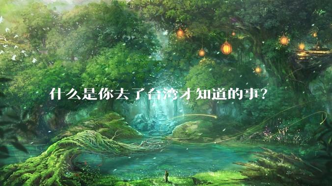 什么是你去了台湾才知道的事?