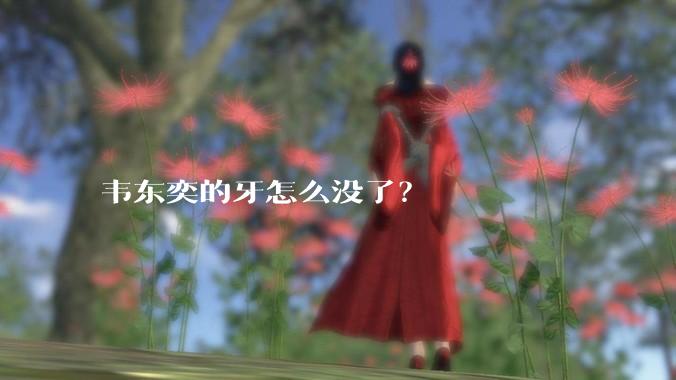 韦东奕的牙怎么没了?