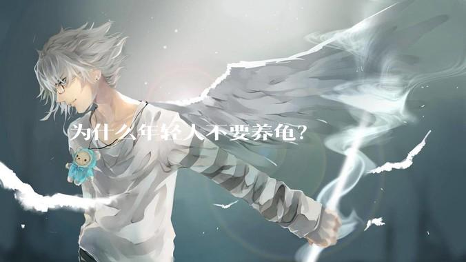 为什么年轻人不要养龟?