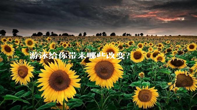 游泳给你带来哪些改变?
