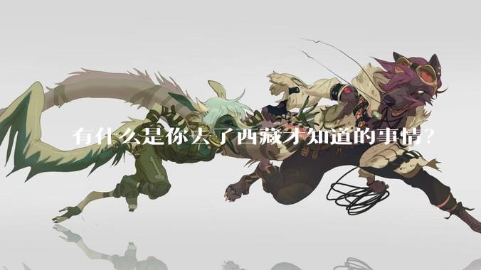 有什么是你去了西藏才知道的事情?