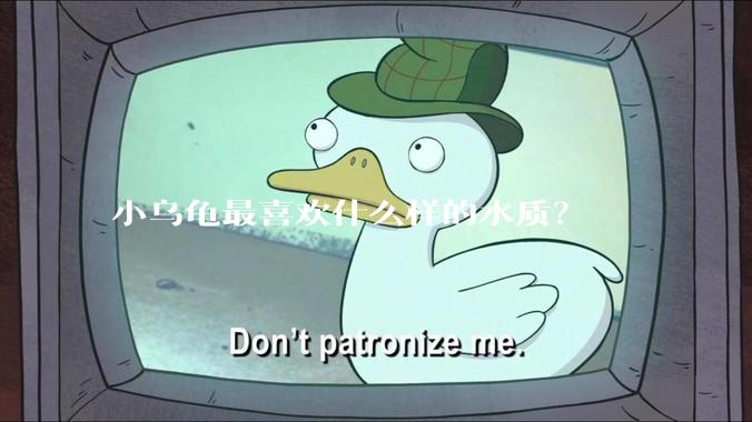 小乌龟最喜欢什么样的水质?