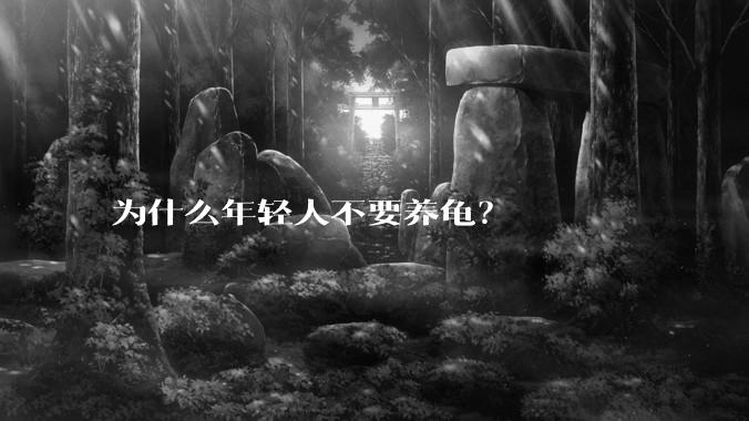 为什么年轻人不要养龟?