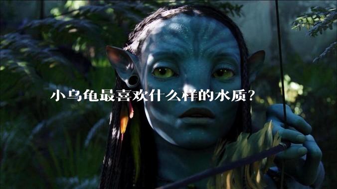 小乌龟最喜欢什么样的水质?