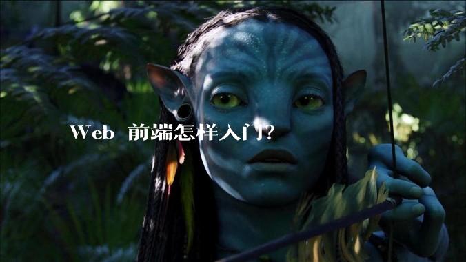 Web 前端怎样入门?