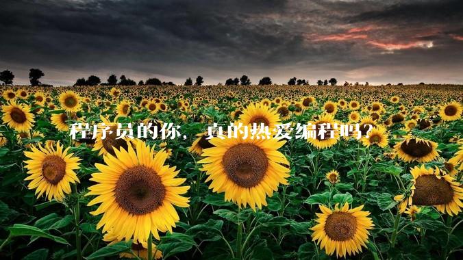 程序员的你,真的热爱编程吗?