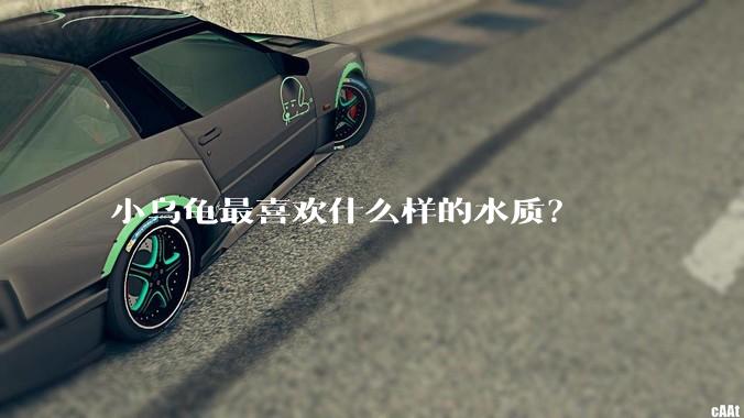 小乌龟最喜欢什么样的水质?