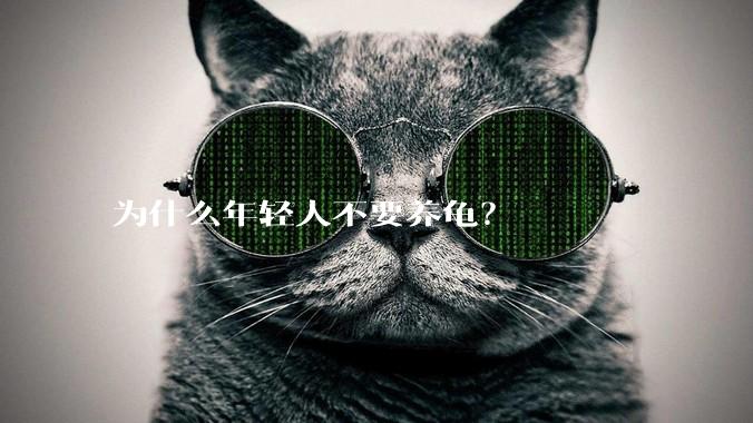 为什么年轻人不要养龟?