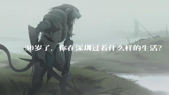 30岁了,你在深圳过着什么样的生活?