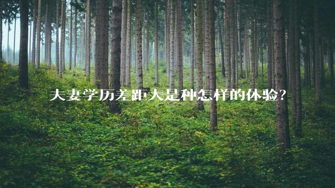 夫妻学历差距大是种怎样的体验?