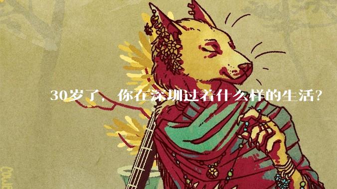 30岁了,你在深圳过着什么样的生活?