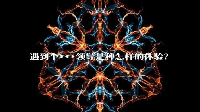 遇到个***领导是种怎样的体验?