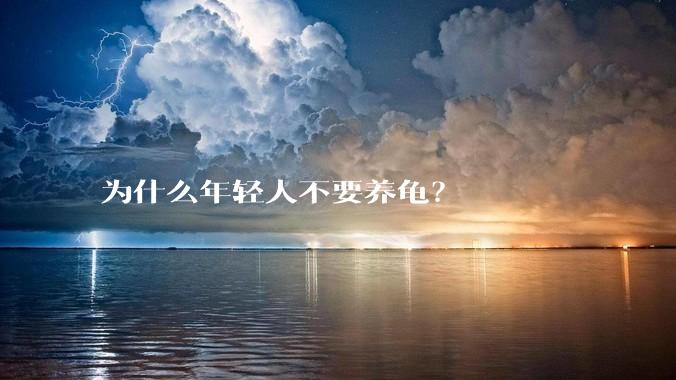 为什么年轻人不要养龟?