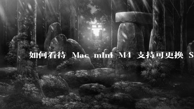 如何看待 Mac mini M4 支持可更换 SSD?