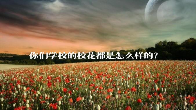 你们学校的校花都是怎么样的?