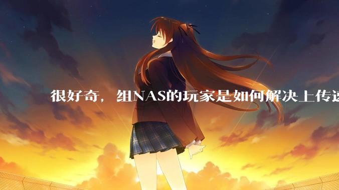 很好奇,组NAS的玩家是如何解决上传速率的问题?